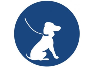 Znak nakaz wyprowadzania psa na smyczy (424)