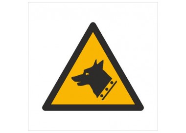 Znak ostrzeżenie przed złym psem (W13)