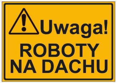 UWAGA! ROBOTY NA DACHU (319-02)